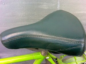 IMAG0221.jpg