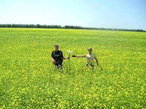 лосиные забавы