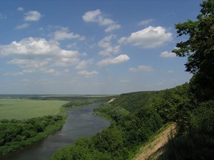 507.jpg