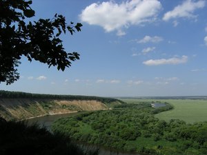 510.jpg