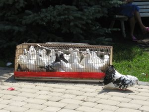 IMG_2657.JPG