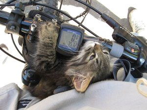 IMG_2672.JPG