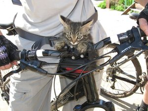 IMG_2670.JPG