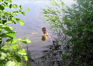 лось водоплавающий