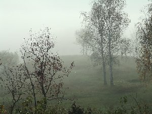 DSCF0100.JPG