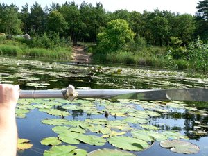 высоко поднимая весла пираты ринулись к берегу