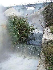 DSCF0136.JPG