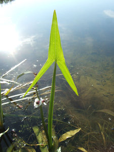 3.jpg (125.02 КБ) 8324 просмотра указатель