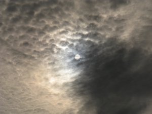 IMG_0327.JPG (187.36 КБ) 7882 просмотра Радиоактивное солнышко...