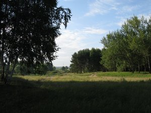 IMG_0296.JPG (231.09 КБ) 7882 просмотра началось в колхозе утро!))