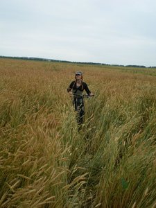 Поле на берегу Дона, не доежжяя до Ямного.