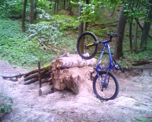 IMAGE_006.JPG