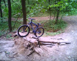 IMAGE_009.JPG