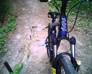 IMAGE_010.JPG
