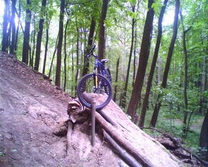IMAGE_007.JPG