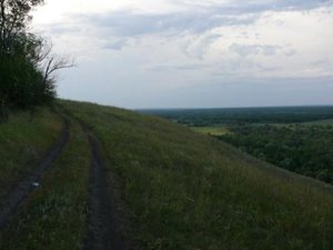 P1010909-2.jpg