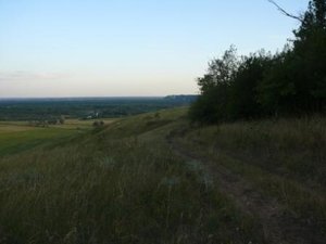 P1010910-2.jpg