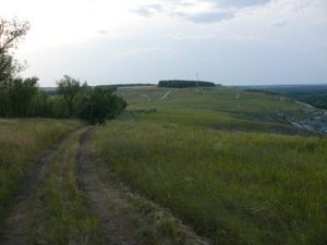 P1010911-2.jpg