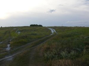 P1010913-2.jpg