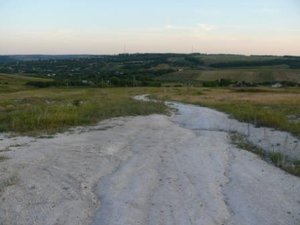P1010917-2.jpg