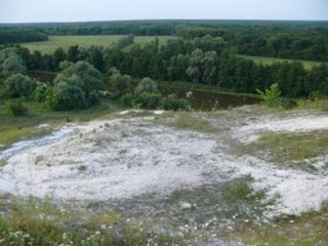 P1010923-2.jpg