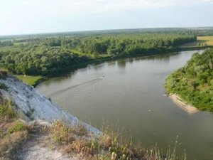 P1010897-2.jpg