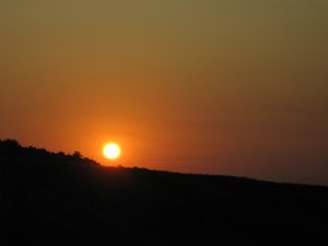 IMG_5301.jpg