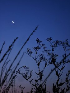 Кому интересно, как так и близкая трава, и дальний месяц в фокусе - это 2 кадра =)