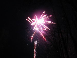 IMG_4544.JPG