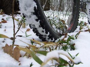 DSCF0201.JPG