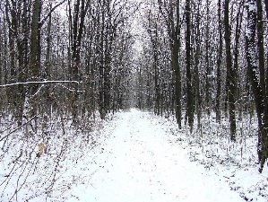 DSCF0197.JPG