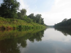 IMG_3975.jpg