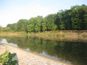 IMG_3980.jpg
