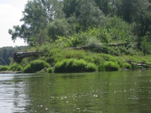 IMG_4024.jpg