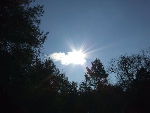 DSCF0311.JPG