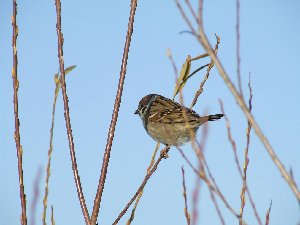 DSCF0381.JPG