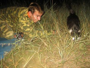 Kotaboy,приручает животное