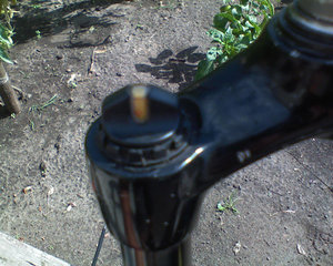 DSC00184.jpg