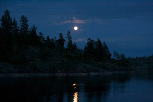 IMG_321400.jpg