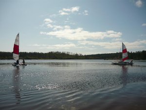 P103085100.jpg