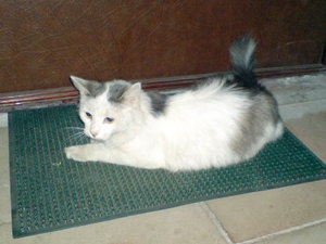 DSC01728.JPG