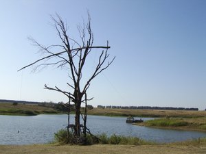 STA73519.JPG