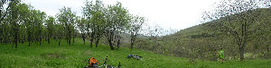 P5020262-Panorama.jpg
