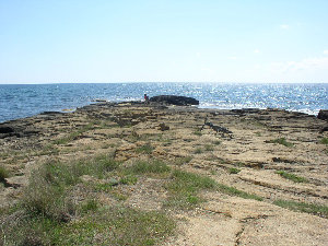 P5030304.JPG