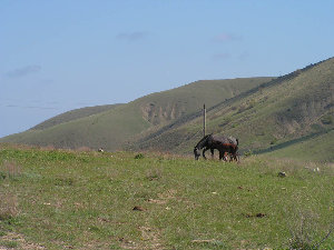 PICT6740.JPG