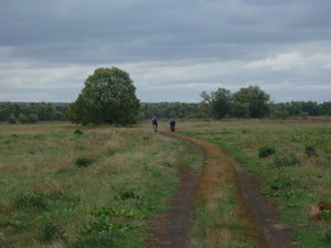 12 лугами2.jpg