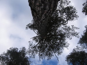 20091010-121512.jpg