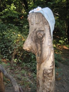 IMG_5230.JPG
