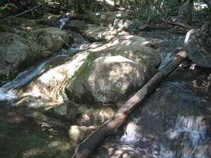 IMG_5241.JPG