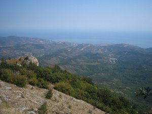 IMG_5258.JPG